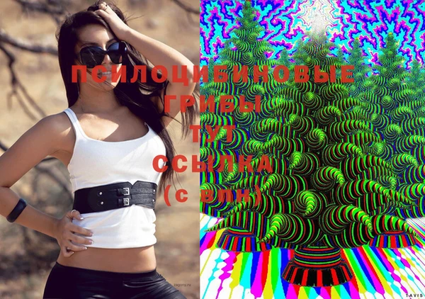 СК Белоозёрский