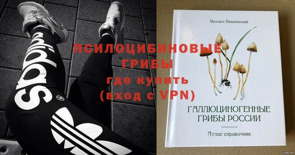 амфетамин Белокуриха