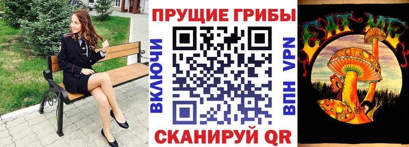 Псилоцибиновые грибы MAGIC MUSHROOMS  как найти   Облучье 